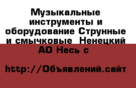 Музыкальные инструменты и оборудование Струнные и смычковые. Ненецкий АО,Несь с.